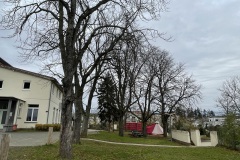 IMG_2151