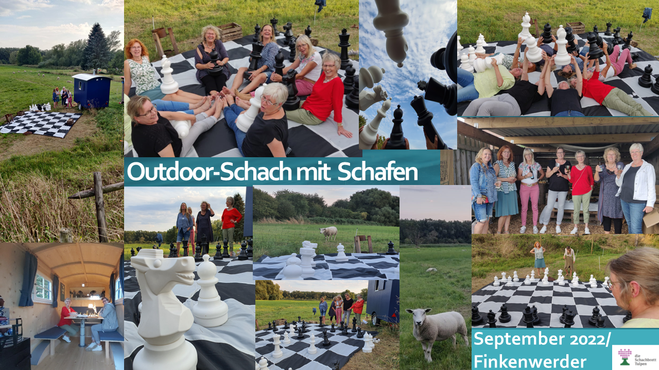 Outdoor Schach mit Schafen